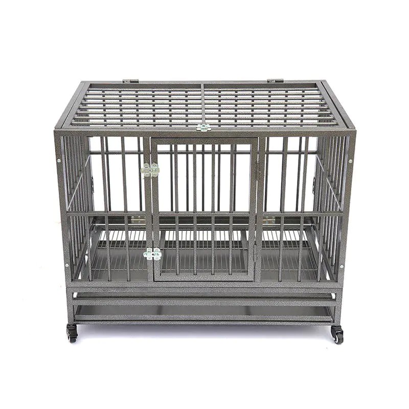 Create a Comfortable Space for your Pet Shop pet homes and accessories